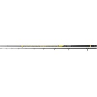 Sumcový prut  BLACK CAT PERFECT PASSION XH-S 600 G - 2,40 M